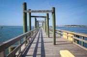 Top Ocean City