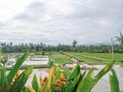 Nyoman Sandat House 1