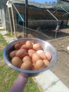 Top Tourves Top Tourves