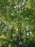 Top Béthisy-Saint-Pierre