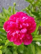 Top Béthisy-Saint-Pierre