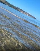 Top Albinia