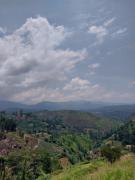 Hakgala Mount Paradise