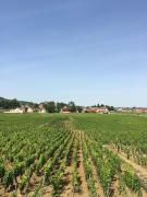 Top Gevrey-Chambertin