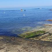 Top Sampieri Top Sampieri