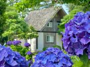 Log Park Dochidol Ranch