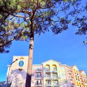 Harmony Breeze Transient Baguio