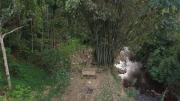Top Vythiri