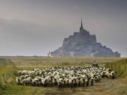 Top Jullouville-les-Pins