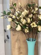 Top Kamianets-Podilskyi