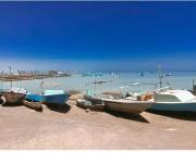 Sea Life Hurghada Apartments