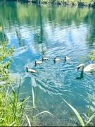 Mountain View luxury up to four persons