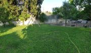 Top Aramon