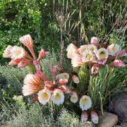 Top Castiglione dʼOrcia