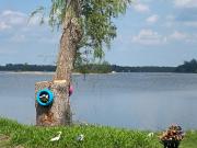 Top Kawartha Lakes