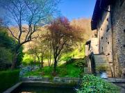 Molino Valsecchi 1369