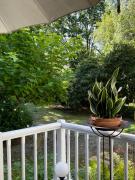 Top Podkowa Leśna Top Podkowa Leśna