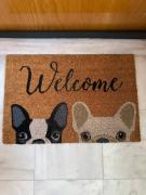 EliasNest Clio Studio - Φωτεινό και ζεστό στούντιο 2 ατόμων στο κέντρο της Καλαμάτας