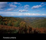 Top Vico del Gargano