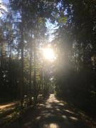 Top Kopalino Top Kopalino