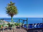 Top Icod de los Vinos