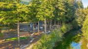 Top Packwood