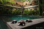 Natha Ubud Villa