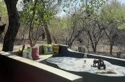 Top Marloth Park