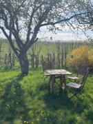 Ferienwohnung Storchenwiese im Fränkischen Seenland