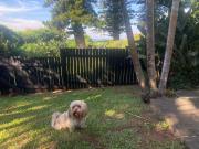 Fishermans Cottage - BillsBest