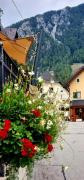 Top Kranjska Gora