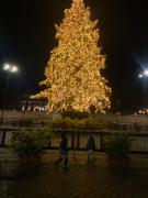 Top Rome