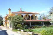 Top Umag