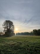 Top Bleckede Top Bleckede