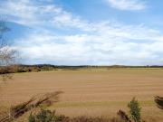 3 bed in Dereham 65903 3 bed in Dereham 65903