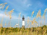 Top Tybee Island