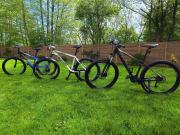 Aster Aparts Wyspa Sobieszewska