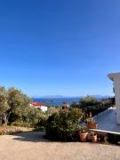 Top Skiathos Town Top Skiathos Town