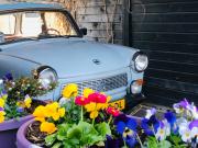 B &B Yuupke Maasbree Noord-Limburg Venlo Roermond