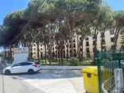 Mijas Alhamar Cabopino