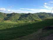 Top Langhirano