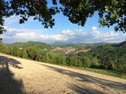 Top Langhirano