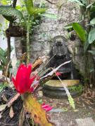 Top Cuetzalan del Progreso