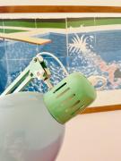 Top Senigallia Top Senigallia