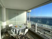 Top Viña del Mar