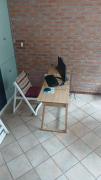 Top San Isidro