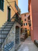 Top Corniglia