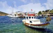 Top Bodrum City