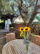 Gabri House Art gallery b&b