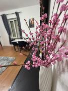 Top Stazione Fornola